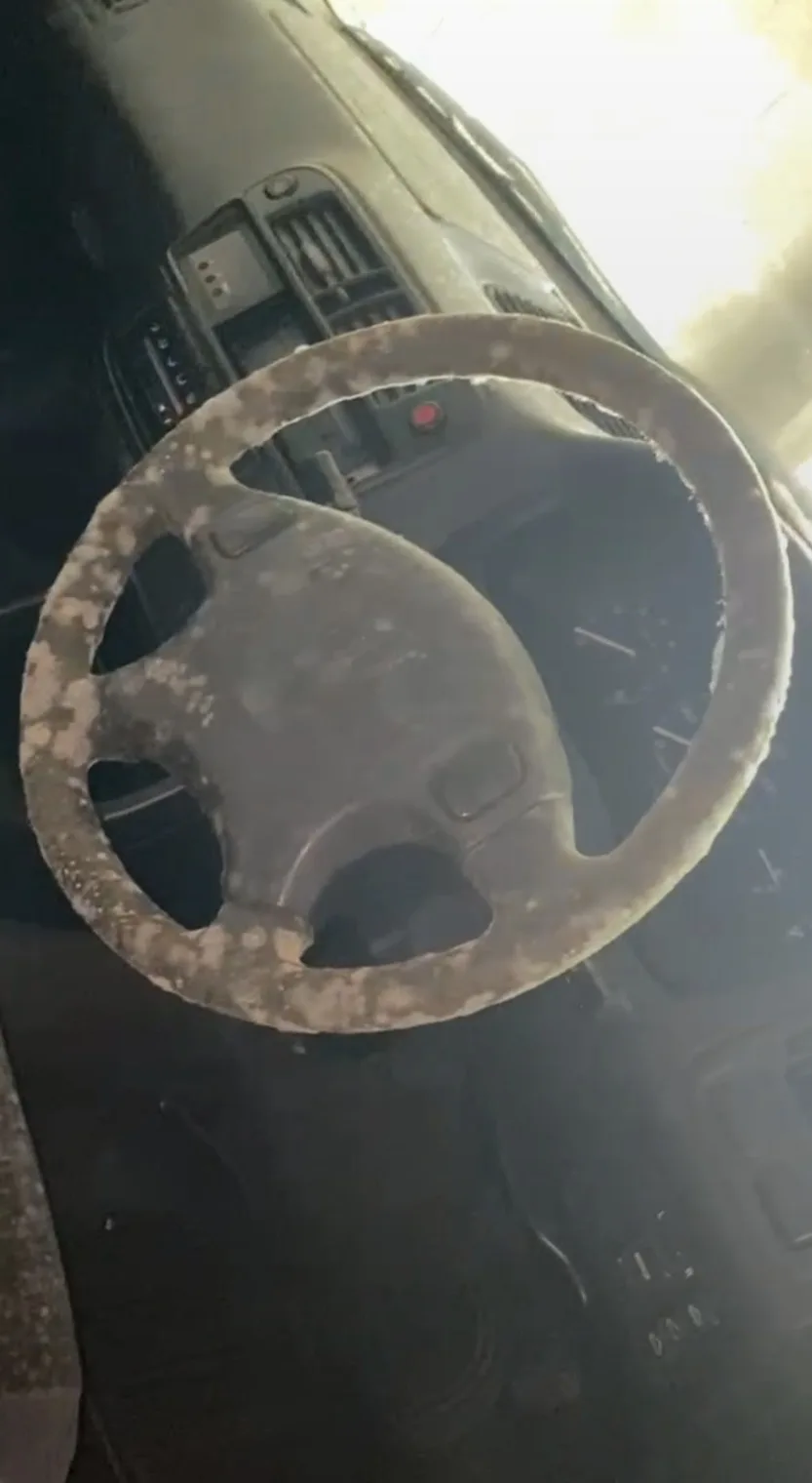 Mould growth on car interior before cleaning in Devon